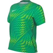 Nike Dres Dri-FIT Gardien VI Goalkeeper Women