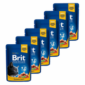 Vrečka BRIT Premium Cat Salmon & Trout 6x100 g