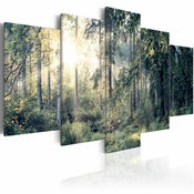 Slika - Fairytale Landscape 200x100