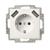 Busch-Jaeger Busch-Jaeger SCHUKO-2x USB vtičnica 20 EUCB2USB-914, (20888070)