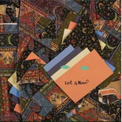 Animal Collective - Isnt It Now? (2 LP)