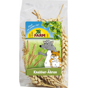 JR Farm Klasje za grizljanje