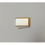 TrueLife NannyCam R4 Battery