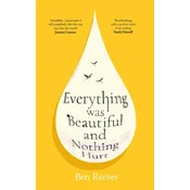 Everything was Beautiful and Nothing Hurt