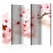 Paravan u 5 dijelova - Cherry Blossom II [Room Dividers] 225x172