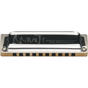 Suzuki Music Manji 10H D