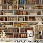 Foto tapeta - Home library 450x315