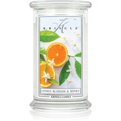 Kringle Candle Classic Citrus Blossom & Honey dišeča sveča 623 g