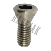 Gillo Limb Bolt Locking Screw Stainless Steel
