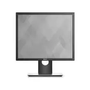 Dell Monitor 19inch P1917S Professional IPS 5:4