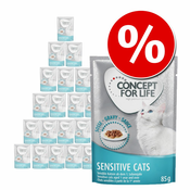 Ekonomično pakiranje: Concept for Life 48 x 85 g - Light Cats u želeu