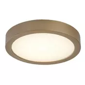Rabalux Shaun Plus Spoljna plafonska rasveta ( 75078 )
