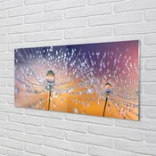 tulup.si Zidna obloga za kuhinju Kapljice makro regrat 140x70 cm