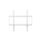 Techly Fixed Slim Wall Support for LCD LED 23-55 White ICA-PLB 162MW