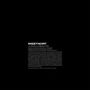 Sweetheart - The Process Of Making Us Well (LP)