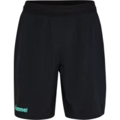 Hummel Kratke hlače Hummel Blaze 2.0 Training Short