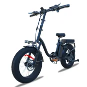 BLUVALL BLUVALL Z01 Zložljivo električno kolo, 20-palčno fat kolo, 36V 13Ah baterija, doseg 50KM, črno, (5000255646)