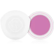Shiseido Eyes Paperlight kremasto senčilo za oči odtenek Shobu Purple 6 g