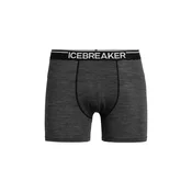 ICEBREAKER Športne spodnjice Anatomica siva