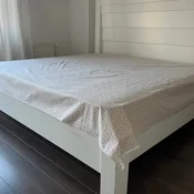 Caršav Ranforce 100% pamuk 220x240cm bez lastiša dezen C10 ( VLK000535-c10 )
