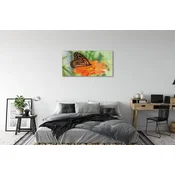 tulup.si Stenska plošča za kuhinjo Flower pisane metulj 100x50 cm