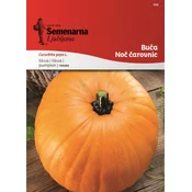 Seme buča Noč čarovnic
