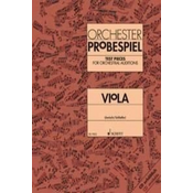 Orchester Probespiel Viola