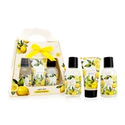 Darilni set Accentra - gel za tuširanje 100ml, pena za kopel 100ml, losjon 50ml