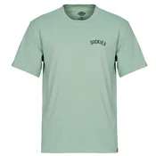 Dickies DICKIES SNAKE SS TEE Zelena