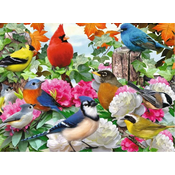 Ravensburger Puzzle Vrtne ptice 500 kosov