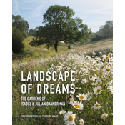 Landscape of Dreams
