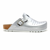 ANATOMSKE COKLE, (D_312_SILVER-42)