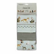 Komplet 3 kuhinjskih krp Cooksmart ® Curious Cats