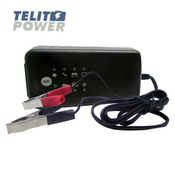 Focus Power 3PA5015R punjac akumulatora 13.8V 3.3A za akumulatore od 12V sa klemama ( P-2261 )