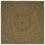 Tepisi za podrucja Crna 240 x 240 cm Juta