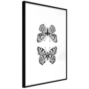 Poster - Butterfly Collection I 40x60