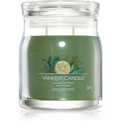 Yankee Candle Aromatična sveča Signature glass medium Sage & Citrus 368 g