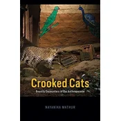 Crooked Cats