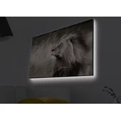 Opviq Slika na platnu sa LED osvetljenjem 45x70cm
