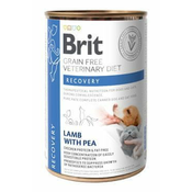 Brit VD Dog+Cat GF cons. Okrevanje 400g