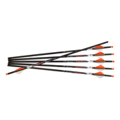 Ravin Bolt Carbon Crossbows LLC 500 grain .001