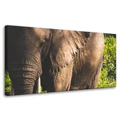 shumee Platno s sliko Živali Slon od blizu 80x40 cm