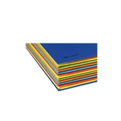 PAGNA PAGNA organizator mapa DESKORGANIZER Color, 12 predelkov, modra, (21652621)