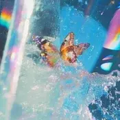Daphni - Butterfly (2 LP)