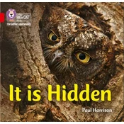 It is Hidden