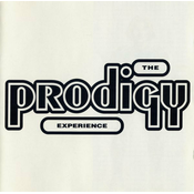 THE Prodigy - Experience