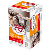 Animonda Integra Protect Adult ledvice pladnji 6 x 100 g - Teletina