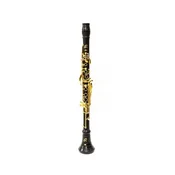 Klarinet Bb 18/7 zlat 310RR 18K Ripa – Ripamonti