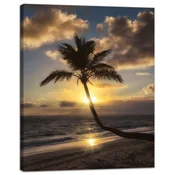 shumee Platno s sliko Narava Palm Sunset Background 40x50 Ocean Holidays