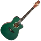 Takamine LTD2025 Gloss Antique Evergreen Ostale elektro-akustične